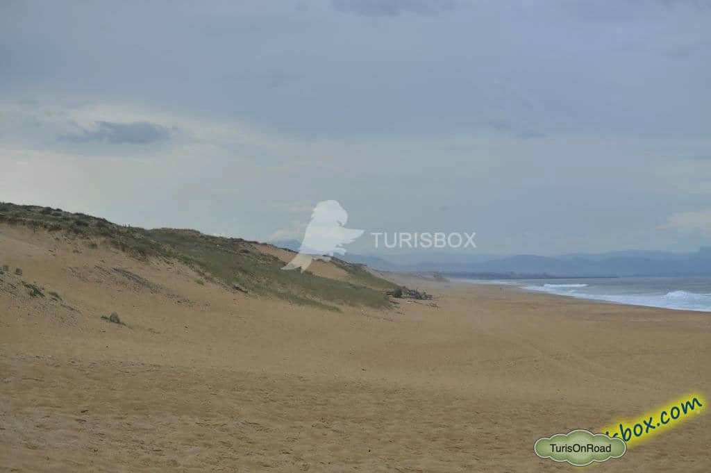 Foto 2 de Playas de Labenne
