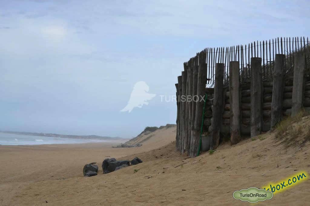 Foto 3 de Playas de Labenne
