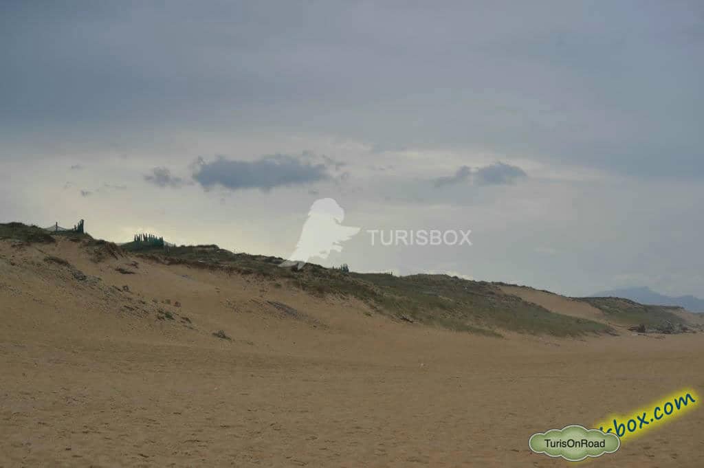 Foto 4 de Playas de Labenne