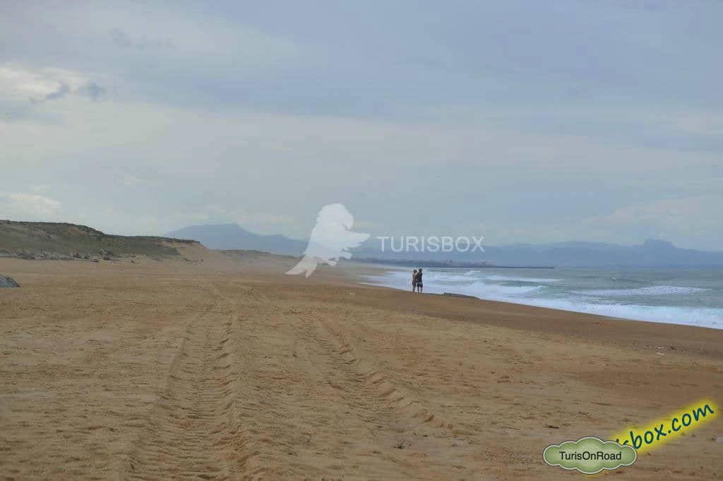Foto 5 de Playas de Labenne