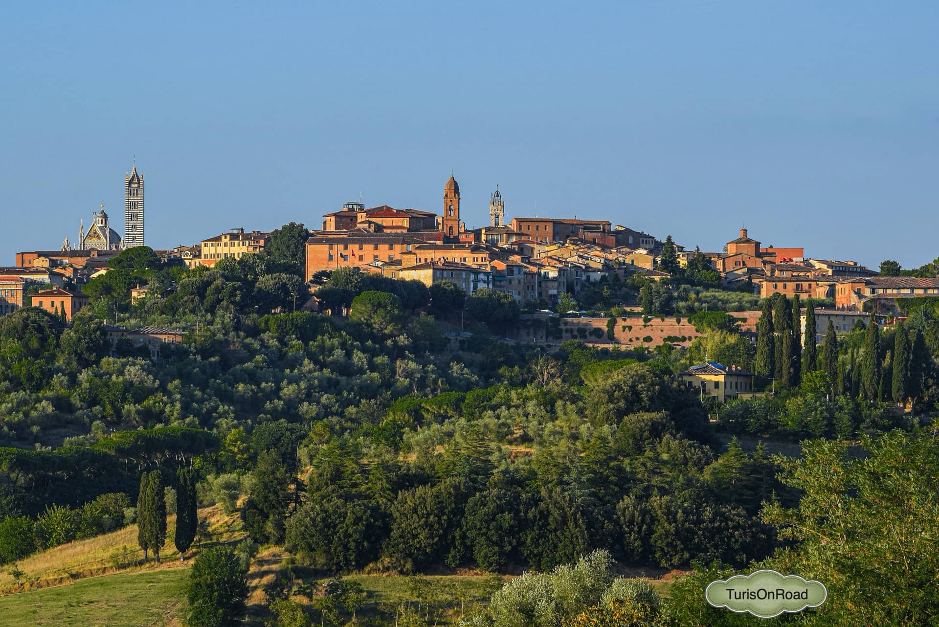 Foto 3 de Siena