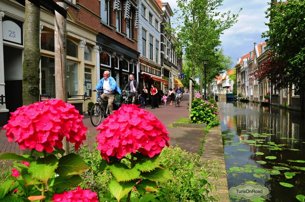 Foto 2 de Delft