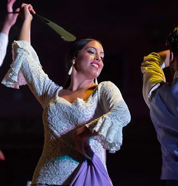 Espectáculo de Flamenco Madrid
