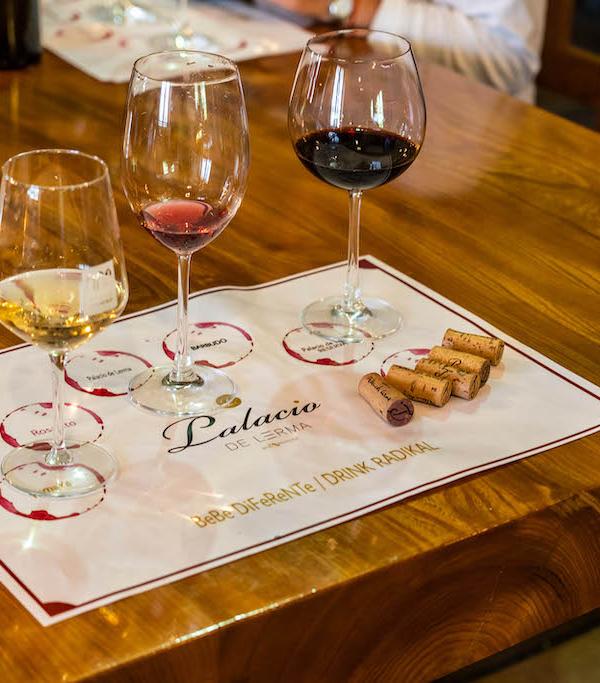 BODEGAS PALACIO DE LERMA