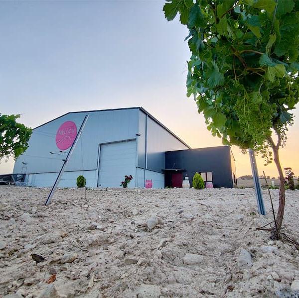 BODEGAS MUCY