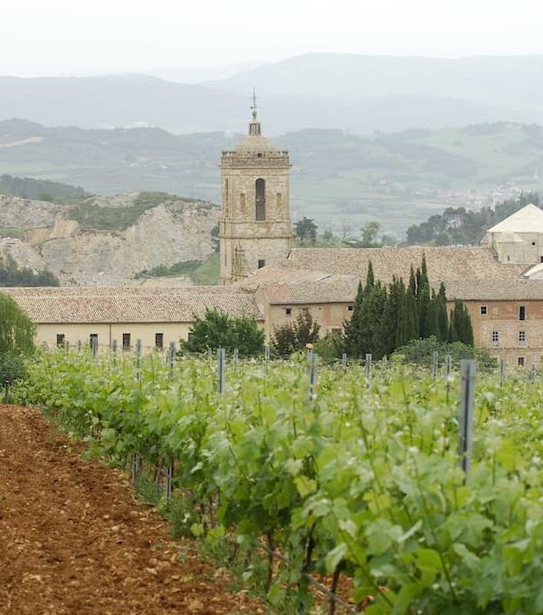 BODEGAS PAGO DE LARRAINZAR