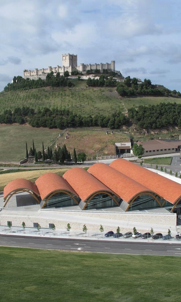 BODEGAS PROTOS