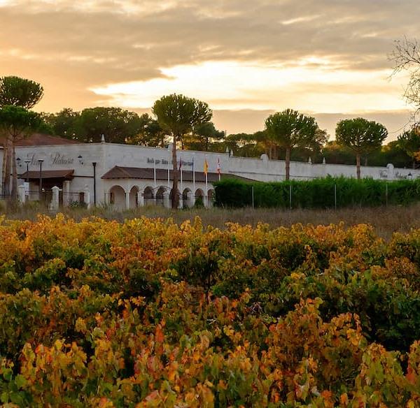 BODEGAS VIÑA PEDROSA